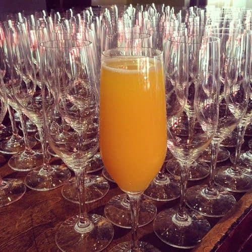 mimosas sans fond Barbrix